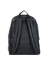 Backpack, back view